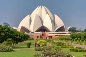 7 Tage Indien Taj Mahal Tour mit Ranthambore Tigersafari