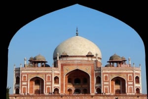 7 Tage Indien Taj Mahal Tour mit Ranthambore Tigersafari