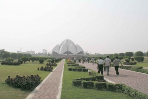 7 Tage Indien Taj Mahal Tour mit Ranthambore Tigersafari