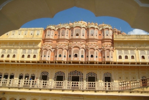 7 Tage Indien Taj Mahal Tour mit Ranthambore Tigersafari