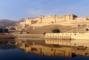 7 Tage Indien Taj Mahal Tour mit Ranthambore Tigersafari