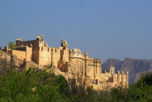 7 Tage Indien Taj Mahal Tour mit Ranthambore Tigersafari