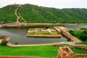 7 Tage Indien Taj Mahal Tour mit Ranthambore Tigersafari