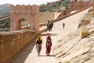 7 Tage Indien Taj Mahal Tour mit Ranthambore Tigersafari