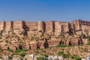 8-daagse stadstour door Delhi, Agra, Jaipur, Jodhpur en Udaipur