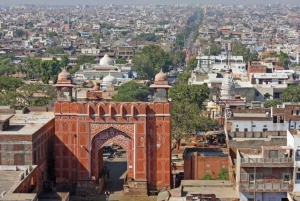 8 dias de TRIÂNGULO DOURADO COM SAFARI DE VIDA SELVAGEM EM RANTHAMBORE