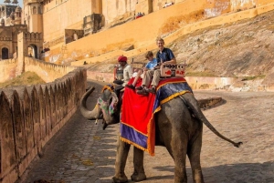 8 dias de TRIÂNGULO DOURADO COM SAFARI DE VIDA SELVAGEM EM RANTHAMBORE