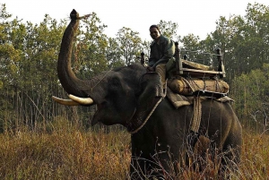 Visite privée de 8 jours de Delhi à Madhya Pradesh pour découvrir la faune et la flore