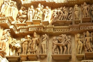 8 Days Private Wildlife Tour from Delhi to Madhya Pradesh