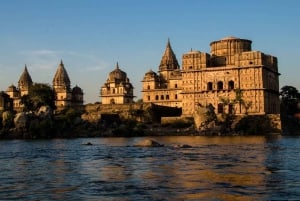 8 Days Private Wildlife Tour from Delhi to Madhya Pradesh