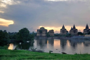 8 Days Private Wildlife Tour from Delhi to Madhya Pradesh