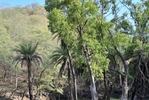 8 Days Private Wildlife Tour from Delhi to Madhya Pradesh