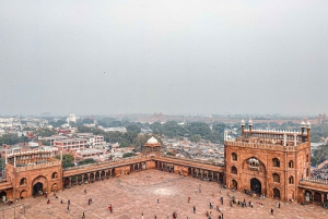 9-dagarsresa till Gyllene triangeln och Varanasi från Delhi