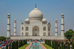 Agra : Visite privée de 5 heures du Taj Mahal et du Fort d'Agra