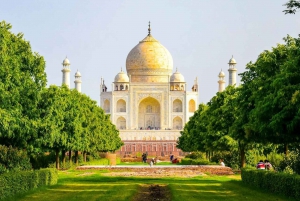 Agra : Visite privée de 5 heures du Taj Mahal et du Fort d'Agra