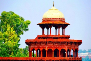 Agra: 5-Hours Taj Mahal and Agra Fort Private Tour