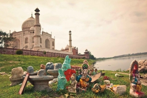 Agra : Visite privée de 5 heures du Taj Mahal et du Fort d'Agra