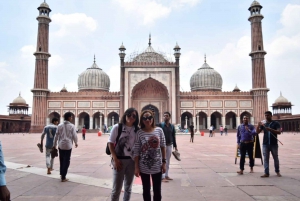 Agra: Tour a piedi del patrimonio di Agra di 2 ore in risciò automatico