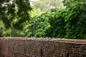 Tour a piedi del Tempio di Akshardham e del segreto Agrasen Baoli