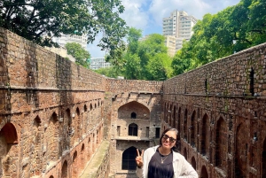 Passeio de meio dia ou dia inteiro em Deli com tudo incluído e recolha no hotel