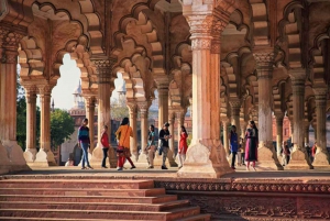 Visite privée tout compris du Taj Mahal et d'Agra avec transferts