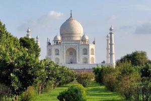 Tour All-Inclusive del Taj Mahal da Delhi nello stesso giorno