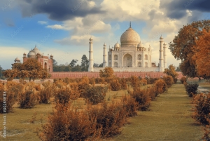 Bangalore: Guidet dagstur til Taj Mahal med fly