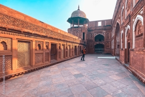 Bangalore: Guidet dagstur til Taj Mahal med fly