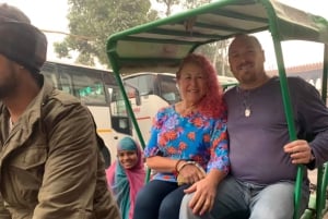 Дели за один день: частная экскурсия с посещением 9 достопримечательностей