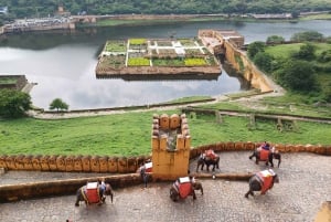 Dagsutflykt till Jaipur från Delhi via motorväg