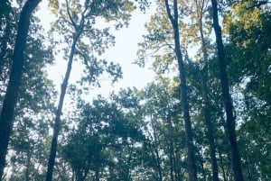 Delhi: 2-Day Jim Corbett Safari Adventure