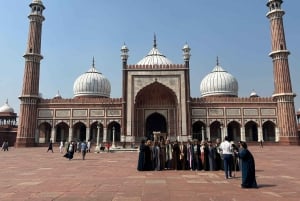 デリー：高級車で行くデリー＆タージマハル2日間プライベートツアー