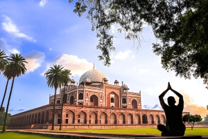 Delhi : visite guidée privée de 2 jours avec voiture