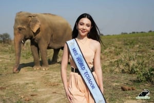 Delhi: 2-dagers tur til Agra og Jaipur med Elephant SOS og 5-stjerners hotell