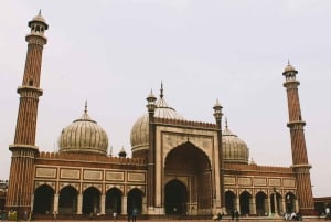 Delhi : visite de 3 jours du Triangle d'Or avec un guide germanophone
