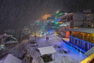 Delhi: 3-tägige Flucht nach Kasol & Tosh Hidden-Trail Himalaya