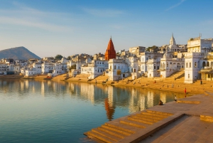 Delhi: 3-Day Pushkar and Jaipur Tour with Yoga Session