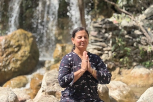 Delhi: Excursão particular de 4 dias a Rishikesh e Haridwar