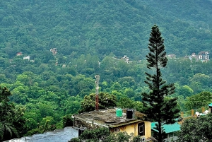 Delhi: Excursão particular de 4 dias a Rishikesh e Haridwar