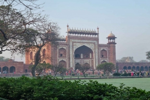 Delhi: 4 dage Delhi Agra Jaipur flerdagestur med guide