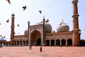 Delhi : visite spirituelle des 4 religions et spectacle aquatique d'Akshardham