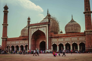 Delhi : Taj Mahal Sunrise & Elephant Conservation - All Paid