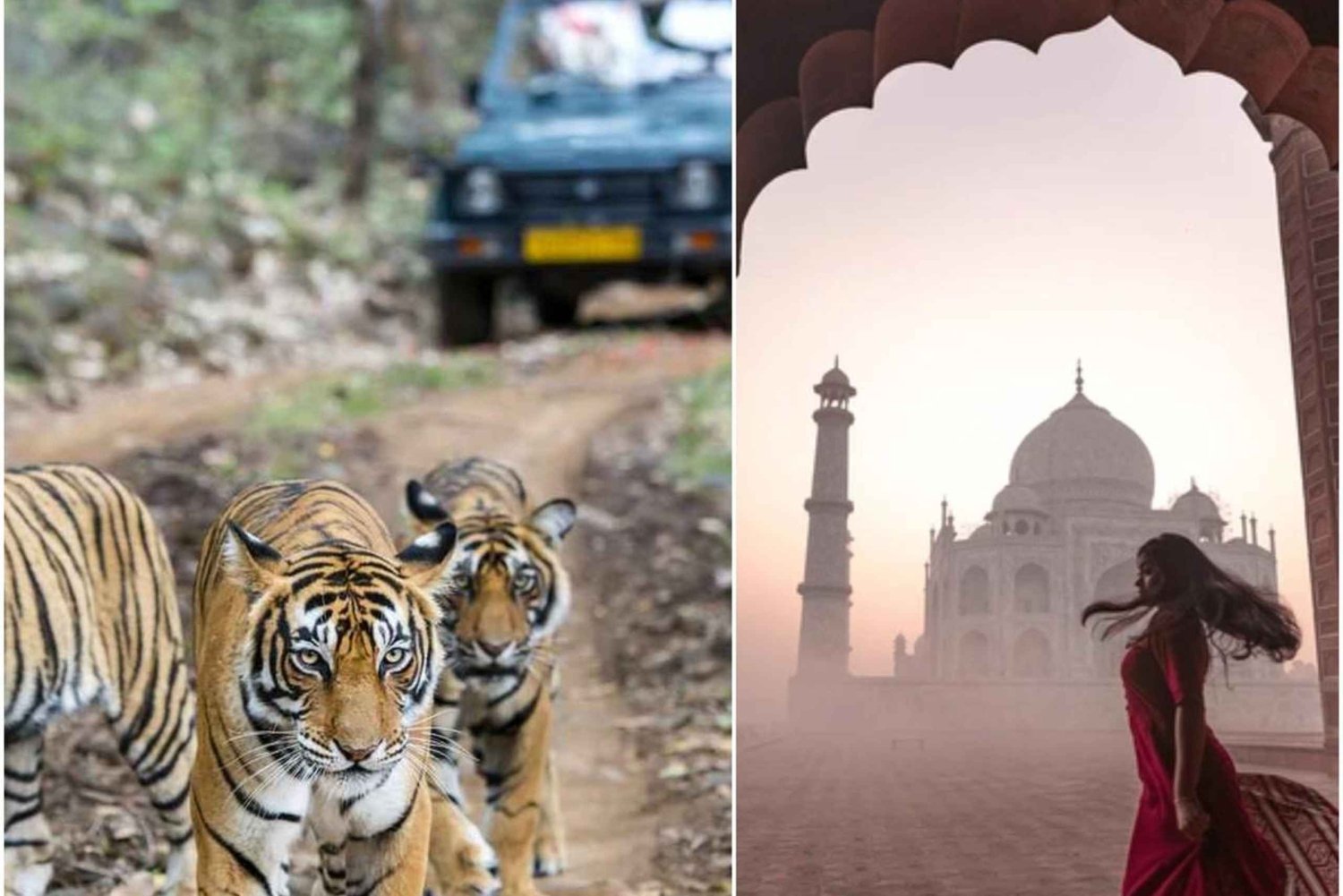 Delhi: 4 päivän kultainen kolmio ja Ranthambore (5 tähden hotellit)