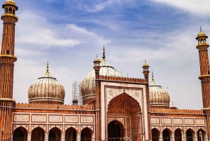 Delhi: 5-dagars lyxig Golden Triangle Tour med guide och inträde