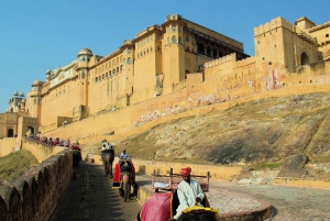 Delhi: 6-tägige private Tour durch das Goldene Dreieck und Varanasi