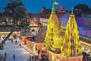 Delhi: 7-dagers Gulltrekant med Pushkar og Varanasi