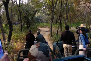 Delhi: 7 giorni nel Triangolo d'Oro con safari delle tigri e Varanasi