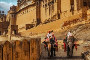 Delhi: 7 giorni nel Triangolo d'Oro con safari delle tigri e Varanasi