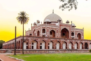 Delhi: 7 giorni nel Triangolo d'Oro con safari delle tigri e Varanasi