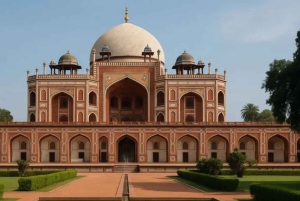 Delhi: 7 giorni nel Triangolo d'Oro con safari delle tigri e Varanasi